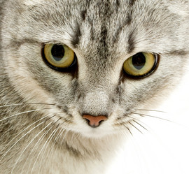 Similar image 554048