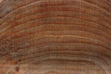 Similar image 554132