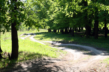 Similar image 554168