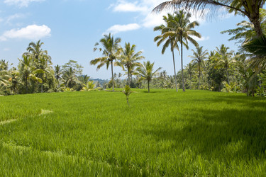 Similar image 554214