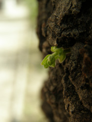 Similar image 554250