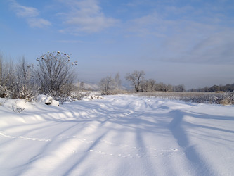 Similar image 554252