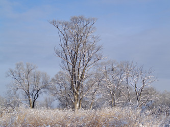 Similar image 554256