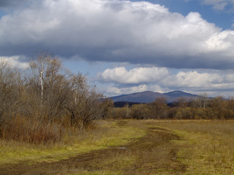 Similar image 554265