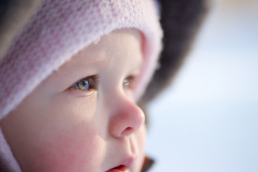 Similar image 554313