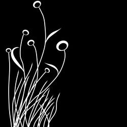 Similar image 554355