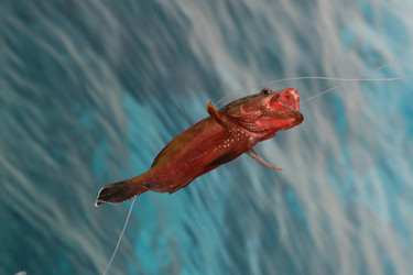 Similar image 554390