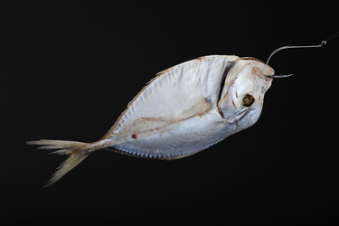 Similar image 554395