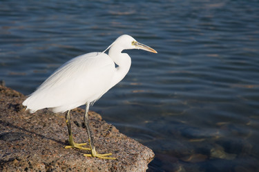 Similar image 554397