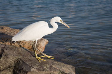 Similar image 554398