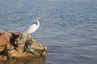 Similar image 554399