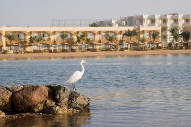 Similar image 554402