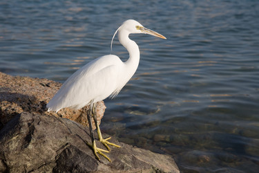 Similar image 554485