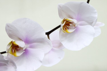 Similar image 554486