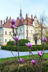 Similar image 554622