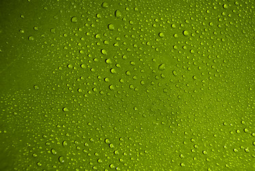 Similar image 554657