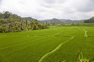 Similar image 554690