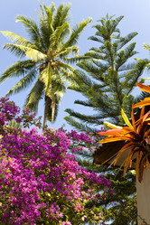 Similar image 554693