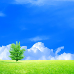 Similar image 554766