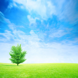 Similar image 554767