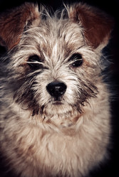 Similar image 554788