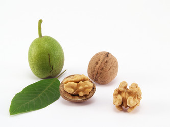 Similar image 554801