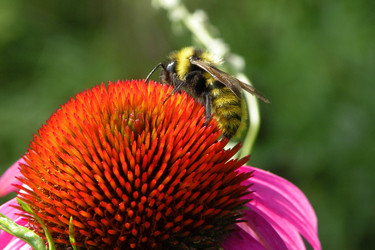 Similar image 554805