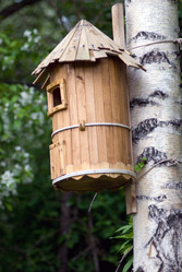 Similar image 554814