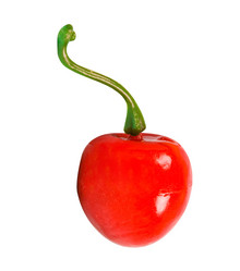 Similar image 554926