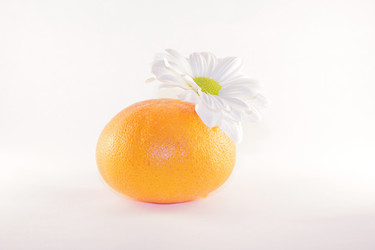 Similar image 554928