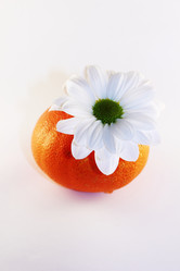 Similar image 554929