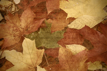 Similar image 554953