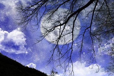 Similar image 554967