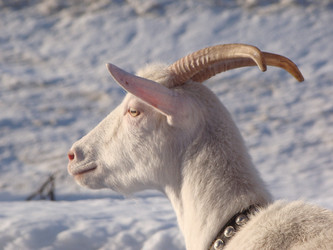 Similar image 555034