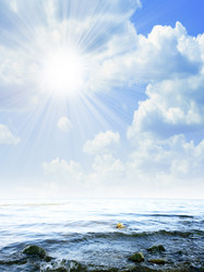 Similar image 555082