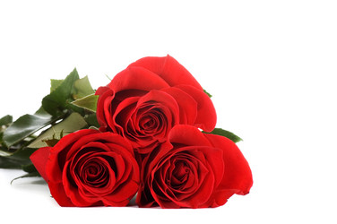 Similar image 555137