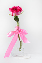 Similar image 555140