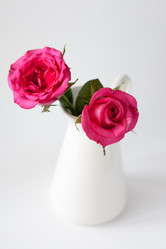 Similar image 555143