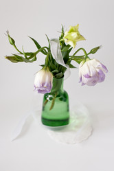 Similar image 555145