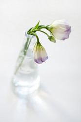 Similar image 555146