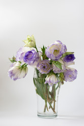 Similar image 555147