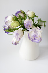 Similar image 555148