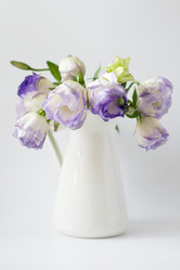 Similar image 555149