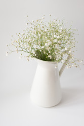 Similar image 555150