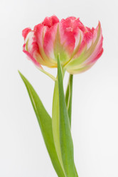 Similar image 555151