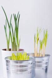 Similar image 555152