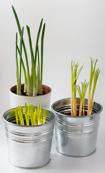 Similar image 555153