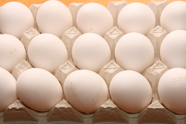 Similar image 555163