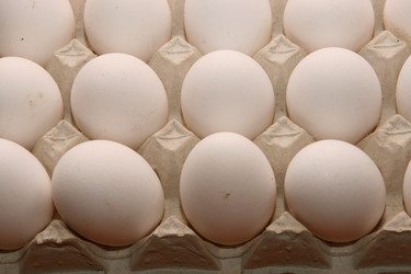 Similar image 555164