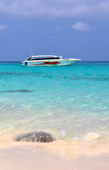 Similar image 555183